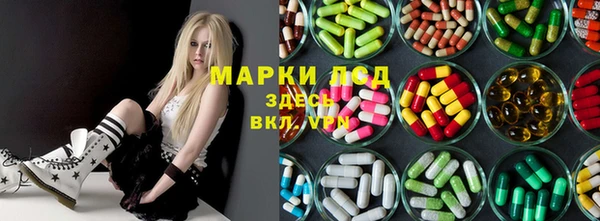стаф Богородицк