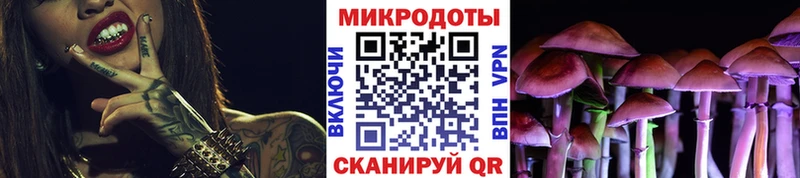 Псилоцибиновые грибы Psilocybine cubensis  Можайск 